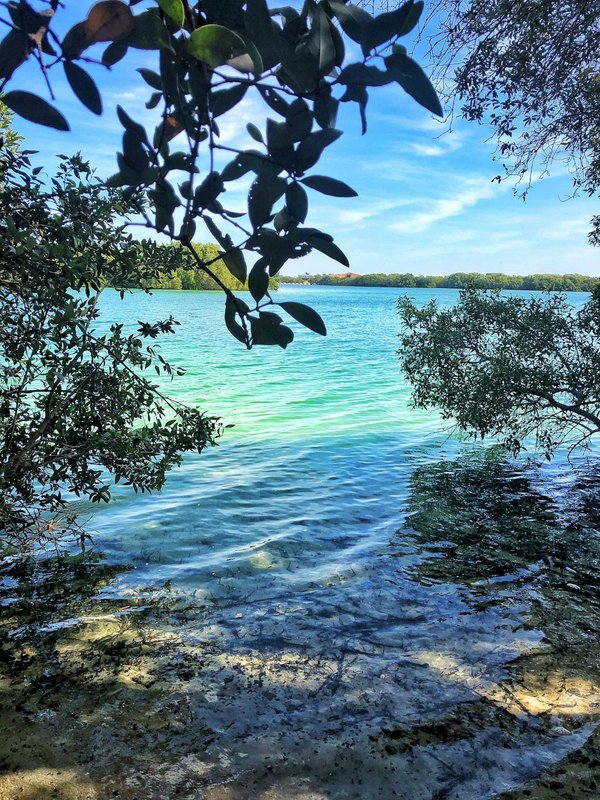 Entraînement type d'un combattant de combat libre