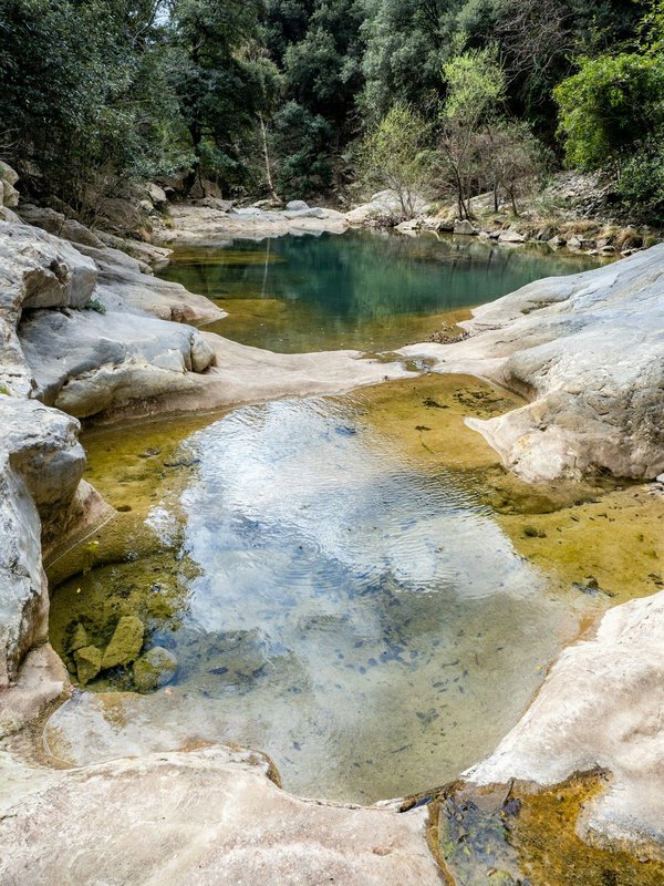 Les bénéfices du vélo de route sur la santé